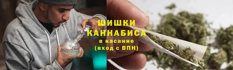 продажа наркотиков  Злынка  Бошки марихуана THC 21% 